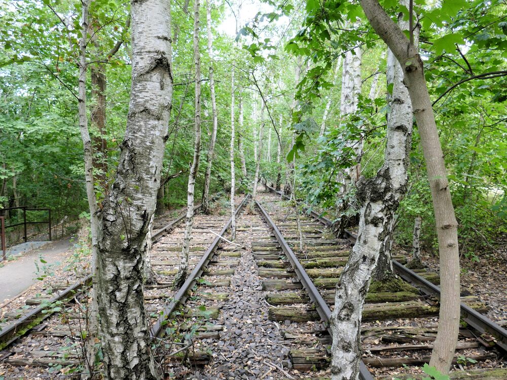 Природный парк Зюдгеленде Природный парк Зюдгеленде