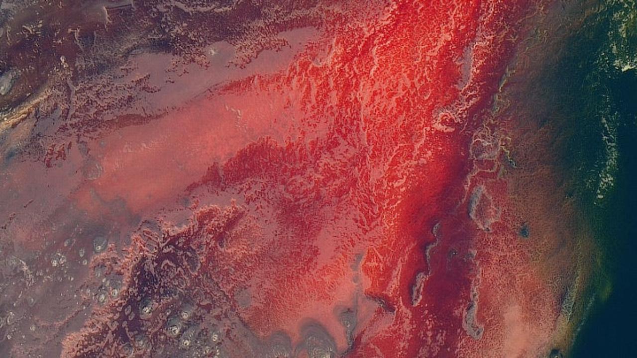 10 необычных снимков Земли, сделанных спутниками Landsat 10 необычных снимков Земли, сделанных спутниками Landsat