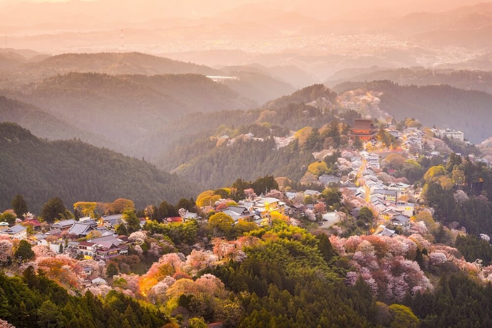 Гора Ёсинояма Mount Yoshinoyama - покрытая тысячами вишневых деревьев Гора Ёсинояма Mount Yoshinoyama - покрытая тысячами вишневых деревьев