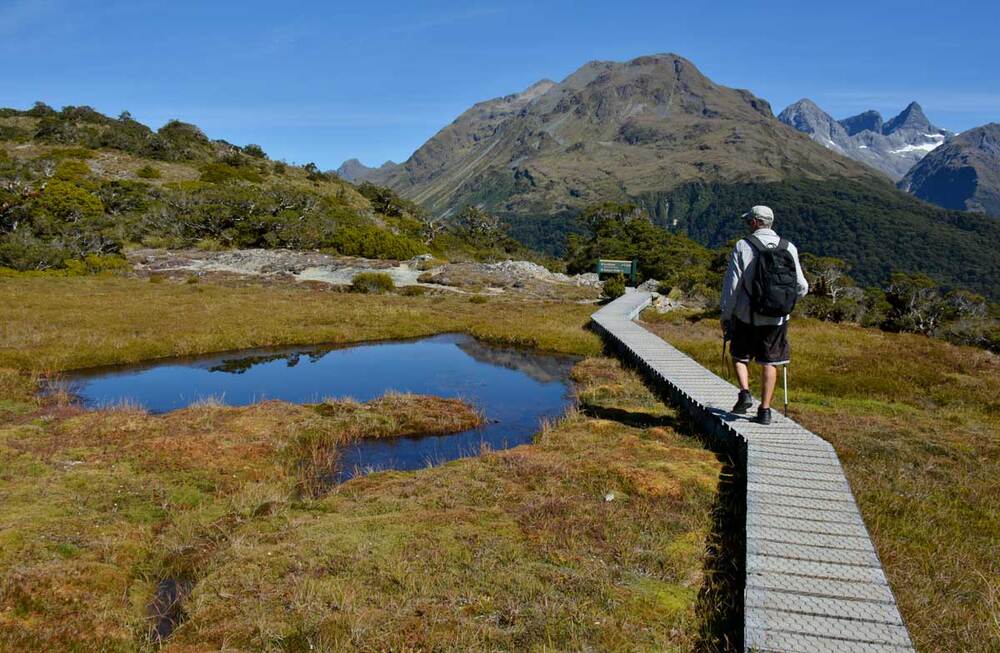 Пешеходный маршрут Рутберн трек (Routeburn Track) Пешеходный маршрут Рутберн трек (Routeburn Track)