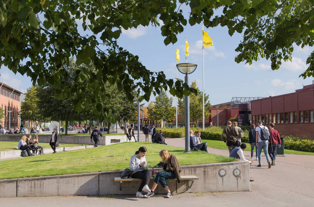Шведский университет Линнеус (Swedish linnaeus University) Шведский университет Линнеус (Swedish linnaeus University)