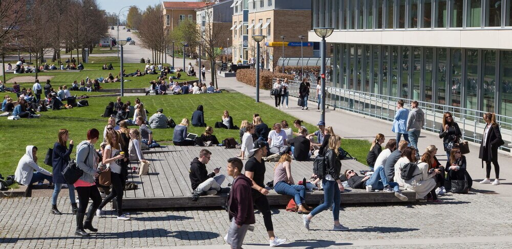 Шведский университет Линнеус (Swedish linnaeus University) Шведский университет Линнеус (Swedish linnaeus University)