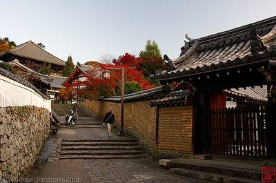 Подход к залу Нигацудо (Approach to Nigatsudo Hall)