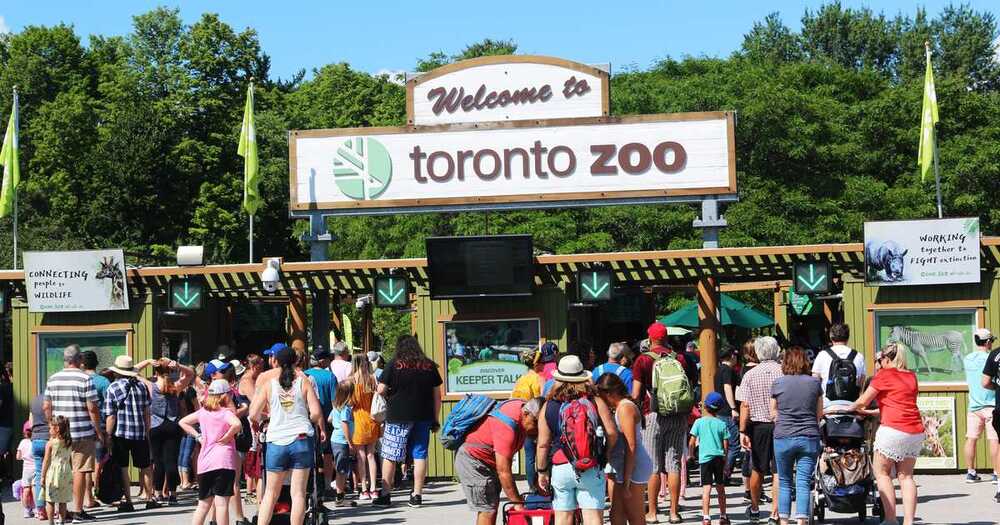 Зоопарк Торонто (Toronto Zoo) Зоопарк Торонто (Toronto Zoo)