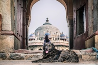 Город Дели фото (Delhi City Pictures)