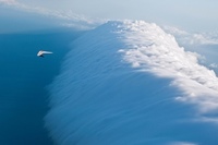 Утренняя глория (Morning glory cloud)