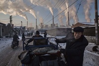 World Press Photo 2015 — победители международного конкурса фотографий
