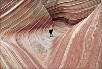 75 красивейших фотографий по версии журнала TwistedSifter за 2013 год