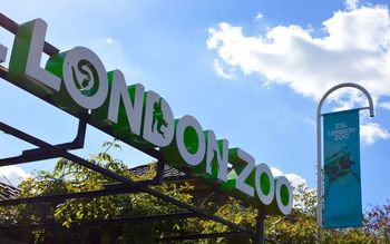 Лондонский зоопарк (London Zoo)
